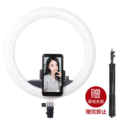 

EIRMAI YB-RJ510 Upgrade LED Photography Ring Light Anchor Live Makeup Beauty Light Portrait Selfie Photography Camera Fill Light Mobile Phone Photo Light White