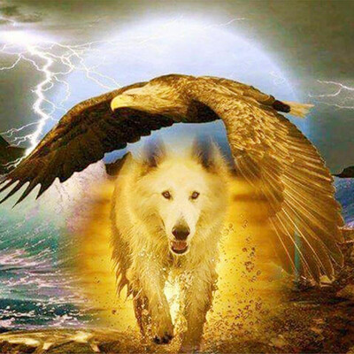 

Full Diamond Embroidery Animal 5D Diamond Picture of Rhinestones DIY Diamond Painting Wolf Hawk Art Cross-stitch Kit