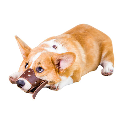 

Dream Bubble Pet Dog Mouth Set Adjustable Stopper Dog Mouth Prevention Dog Tattoo Teddy Outer Export Cover Dog Mouth Set