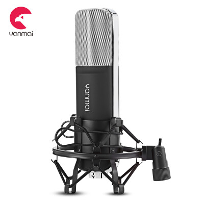 

Yanmai Q8 Professional Condenser Microphone Cardioid with Shock Mount for Recording