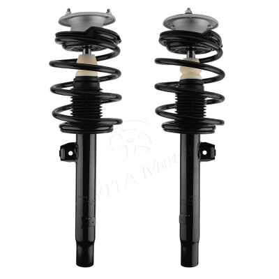 

Front Quick Complete Struts Assembly Gas Shocks For BMW 320i 323i 325i 328i E46