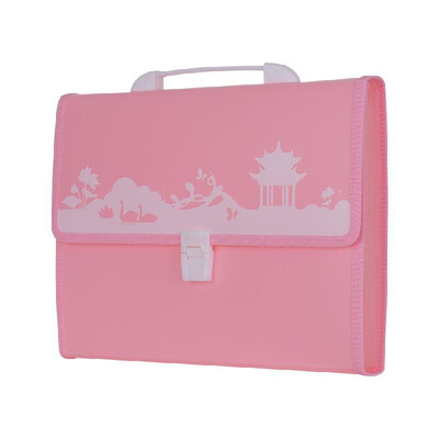 

MAOTAIZI Portable Accordion Expanding File Folder Document Organizer Portfolio Holder 13 Pockets A4 Size Large Capacity with Handl