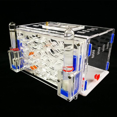

DIY Antgranery Moisture Feeding Area Ant Farm Acryl Insect Villa Pet Advanced Mania For House Ants Birthday Present Gift