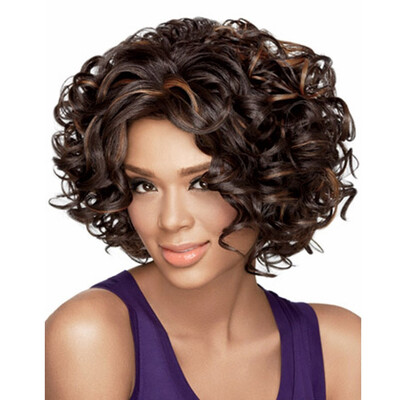 

QianBaiHui Short Kinky Curly Wigs for Black Women Dark Brown Afreican American Heat Resistant Synthetic Hair Fashion Wigs Wig Cap
