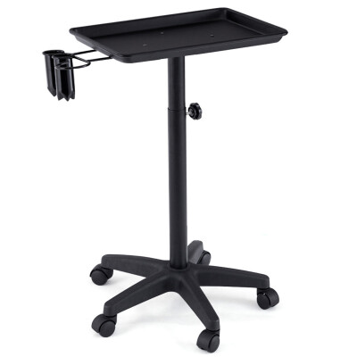 

Equipment Salon Spa Tray Beauty Trolley with Appliance Holder-Black