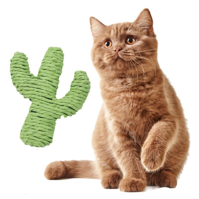 

Pet Interactive Toy For Cats Kitten Grinding Claw Molar Toy Cactus Woven By Paper Rope Kedi Malzemeleri Zabawki Dla Kota