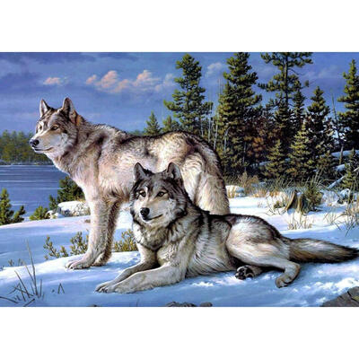 

5D DIY Full Drill Diamond Painting Quiet Wolves Cross Stitch Embroidery Kit