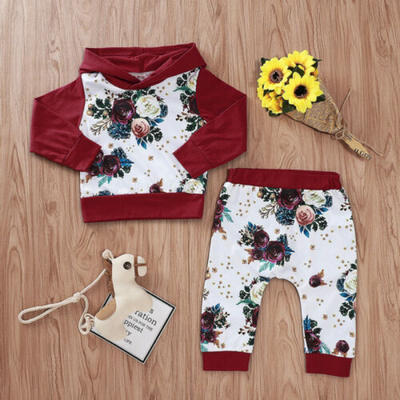 

Newborn Baby Girl Long Sleeve Floral Flower Hooded Tops Sweatshirt Pants Outfits