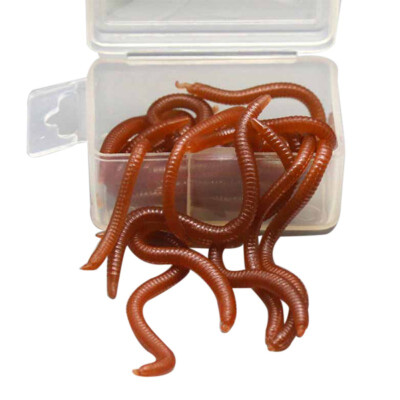 

New Hot 20g Artificial Fishing Lures Earthworm Redworm Shaped Lifelike Reusable Cuttable Silicone Smell Worms Bait Dropshipping