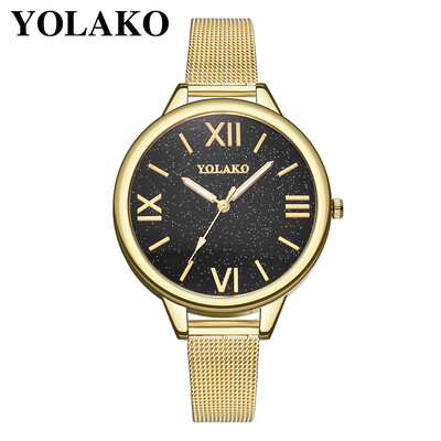 

RM YOLAKO Ladies Stainless Steel Mesh With Simple Mirror Quartz Fine Strap Watch