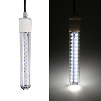 

12V 8W 60 LEDs Underwater Night Fishing Light Submersible LED Lamp Bait Squid Fish Attracting Light Fish Finder Light with 5M Cord