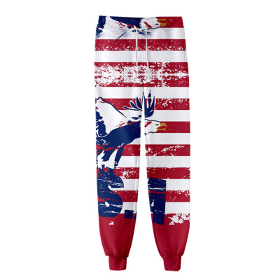 

Womens Pants Independence Day Print Casual Pants Fashion Pleated Pants