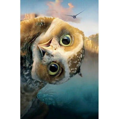 

5D DIY Full Drill Diamond Painting Big Eyes Bird Cross Stitch Embroidery