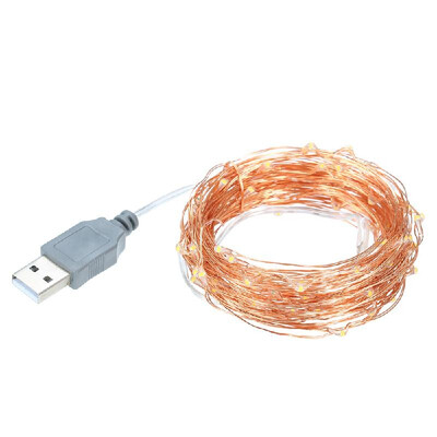 

100 LED Copper Wire String Light USB Powered Fairy String Light Waterproof for Garden Outdoor Party Christmas Decor