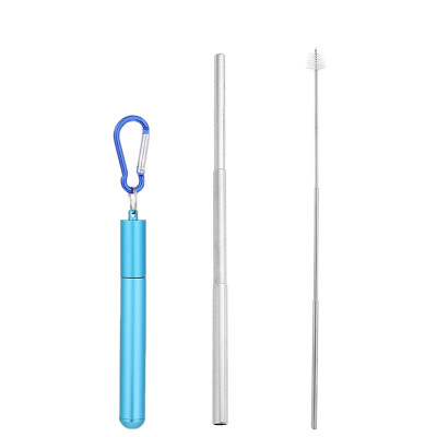 

Portable Reusable Drinking Telescopic Stainless Steel Straws Sets Carabiner