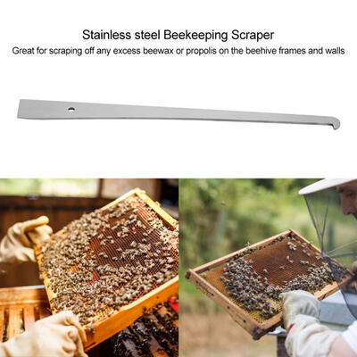 

Greensen 1Pc Stainless Steel Bee Hive Scraper Frame Cleaning Tool Beekeeping Tool Equipment