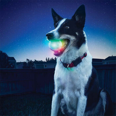 

LED Glowing Streak Dog Ball Blinking Pet Toys Lights Up Supplies For Night Play