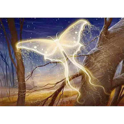 

5D DIY Full Drill Diamond Painting Fantasy Butterfly Cross Stitch Embroider