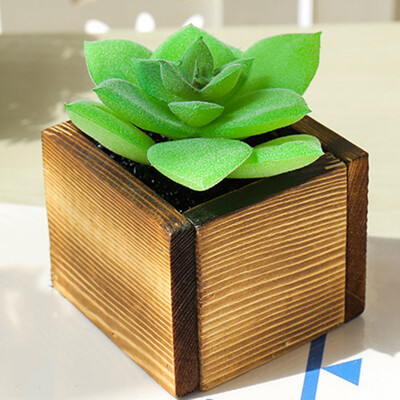 

Creative Ornaments Mini Simulation Succulent Bonsai Artificial Flowers With Pot
