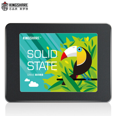 

Kingshare Toucan M500 Series 512G SATA3 Solid State Drive