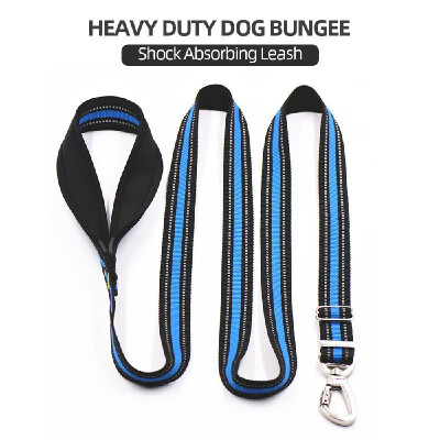 

Heavy Duty Dog Bungee Leash Shock Absorbing Training Leash Reflective for Large Dogs