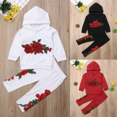 

Embroidery Toddler Kids Baby Girl Hooded Top Long Pants Outfit Clothes Tracksuit