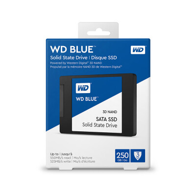 

Western Digital WD Blue 1TB PC SSD 3D NAND SATA3 6GBs 25 Inch Solid State Drive Hard Disk for PC LaptopWDS100T2B0A