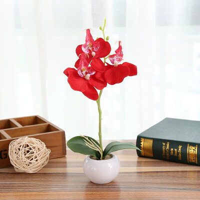 

Moth Orchid Ornament Simulation Bonsai Artificial Flower Potted Plant Home Decor