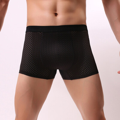 

Sheer Mesh Mens See Through Boxer Briefs Panties Underwear Lingerie Shorts