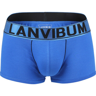 

Mens Lingerie Low Rise Knickers Triangle Thongs Underpants Boxers Shorts Briefs