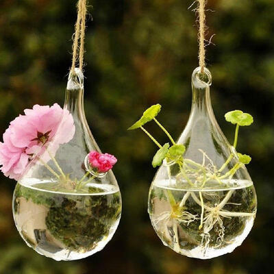 

Clear Hanging Glass Flower Plant Vase Hydroponic Container Pot Home Decor
