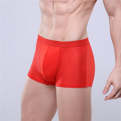 

Mens Ice Silk Boxer Briefs Breathable Openwork Boxers With Pouch
