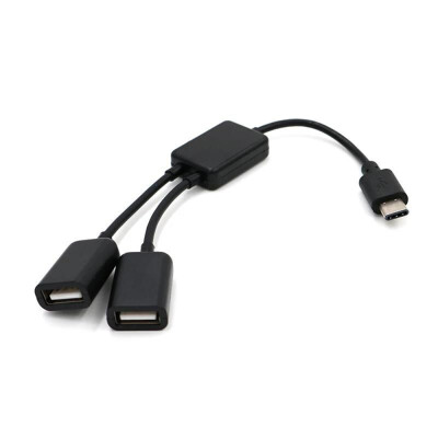 

USB 31 Type-C to 2-Port OTG Cable