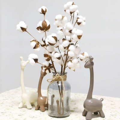 

Gobestart 2Pcs 21 inch Naturally Dried Cotton Stems Farmhouse Style Artificial Flower Fill