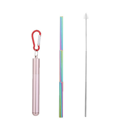 

New Hot Portable Reusable Drinking Telescopic Stainless Steel Straws Sets Carabiner