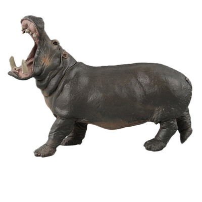 

Tailored Educational Science Hippo Animal Model Ornament Figurine Toy For Kids Gift