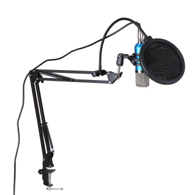 

Professional BM700 Condenser Microphone Mic KTV Singing Studio Recording Kit BlackGolden