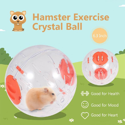 

Hamster Exercise Ball Hamster Crystal Ball 63 Inch Clear Hamster Running Ball