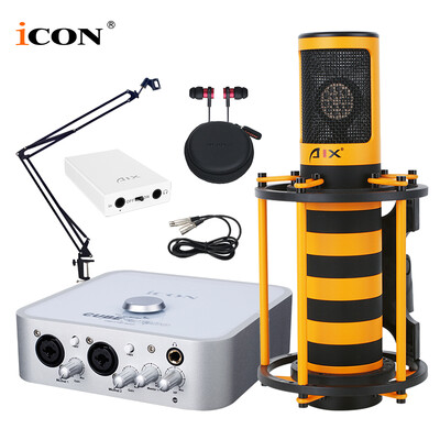 

Aiken iCON 4nano VST USB external sound card LEWITT LCT 249PRO condenser microphone cantilever bracket anchor karaoke recording live set