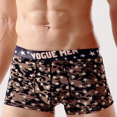 

Mens Ice Silk Boxers Stylish Print Boxer Briefs With Pouch