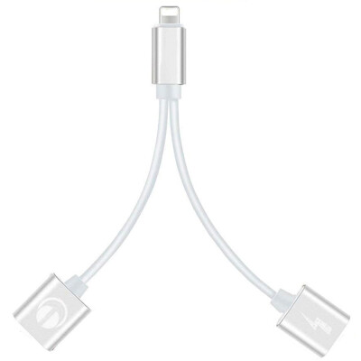 

2-in-1 Adapter Double Headphone Audio Charge for iPhone X XR 8 Plus 7 Plus