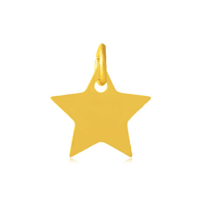 

304 Stainless Steel Charms Star Golden 11x12x11mm Hole 4mm