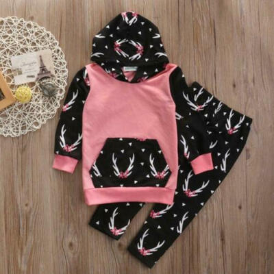 

2pcs Kids Toddler Clothes Girls Hoodie TopsPants Tracksuit Outfits Set Lovely