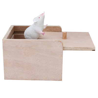 

〖Follure〗April Fools Day a Funny Practical Toy Scare Small Wooden Box With Mouse