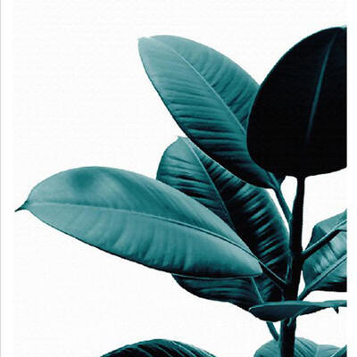 

2 Panel Unframed Green Plant Leaf Canvas Wall Painting Restaurant Home Oil Picture Bedroom Living Room Oil Drawing