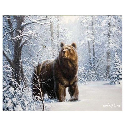 

Diamond Painting Full Drill Square Bear Cross Stitch Diamond Embroidery Animal Needlework 5D Diy Diamond Mosaic Rhinestones Gift