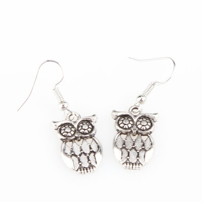 

Silver Alloy Color Alloy Drop Earrings for Women