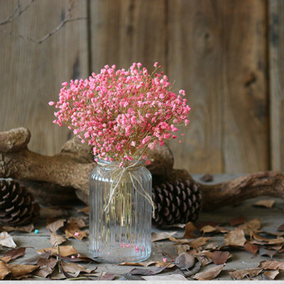 

Gobestart Natural Dried Flower Babys Breath Home Decor Natural Dried Flower Full Stars Gy