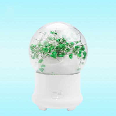 

〖Follure〗Everlasting Flower Night Light Air Humidifier Essential Oil Diffuser Mist