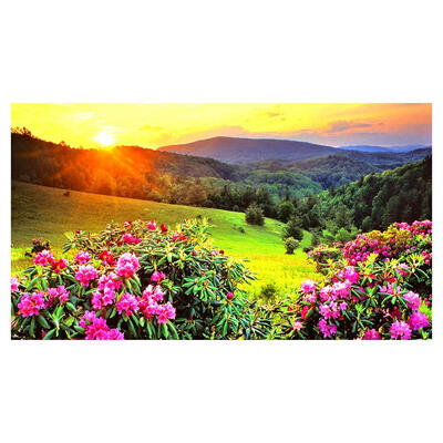 

5D DIY Full Drill Diamond Painting Sunny View Cross Stitch Embroidery Kits